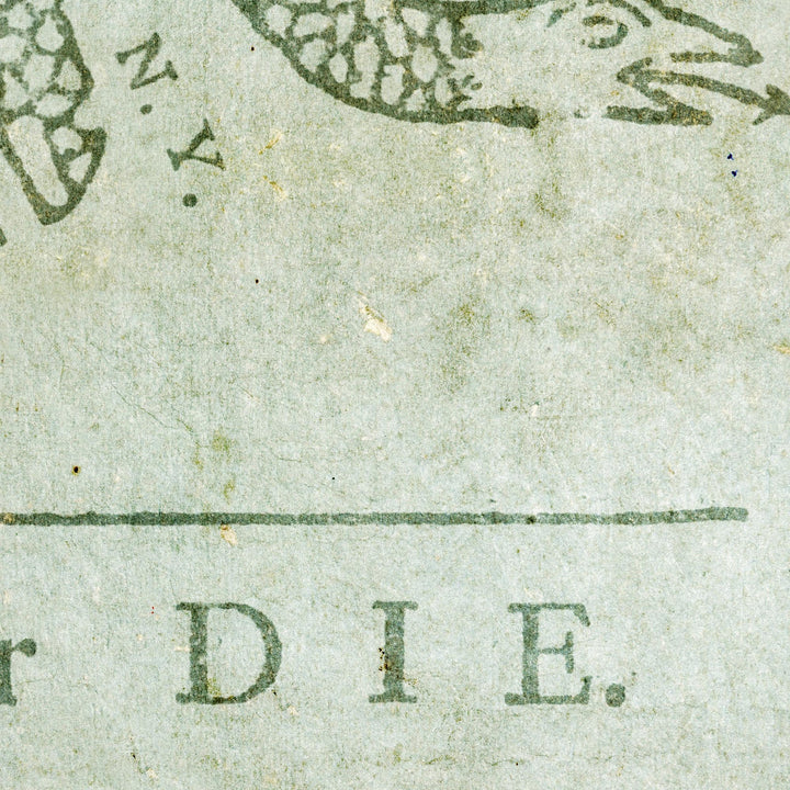 Benjamin Franklin's Join, or Die Retro Poster - 36" x 24"