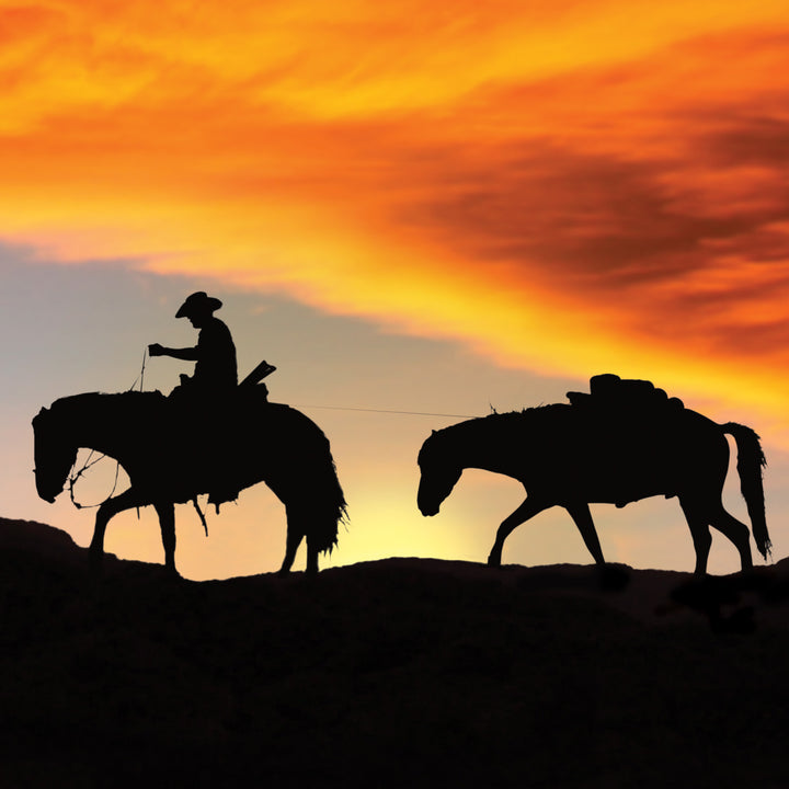 Every Trail Has Some Puddles Old West Poster