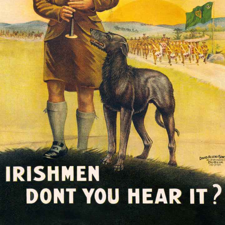 The Irish 'Call To Arms' Retro Poster - 24" x 36"
