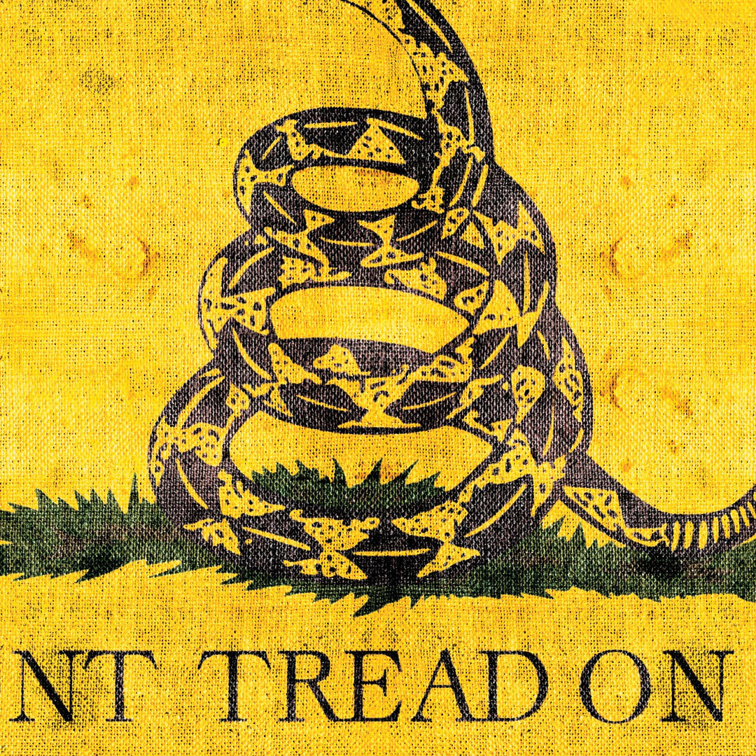 The Dont Tread On Me Retro Poster - 36" x 24" (2)
