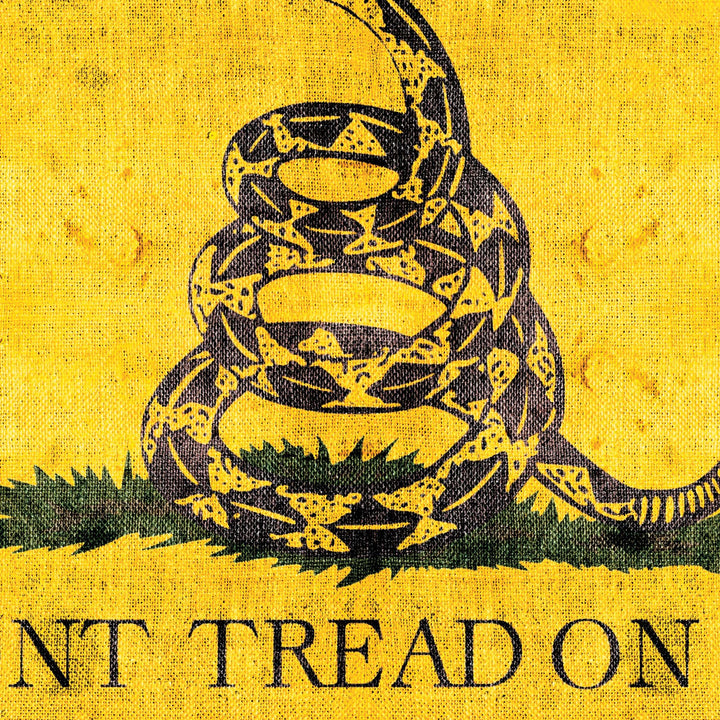 The Dont Tread On Me Retro Poster - 36" x 24" (2)