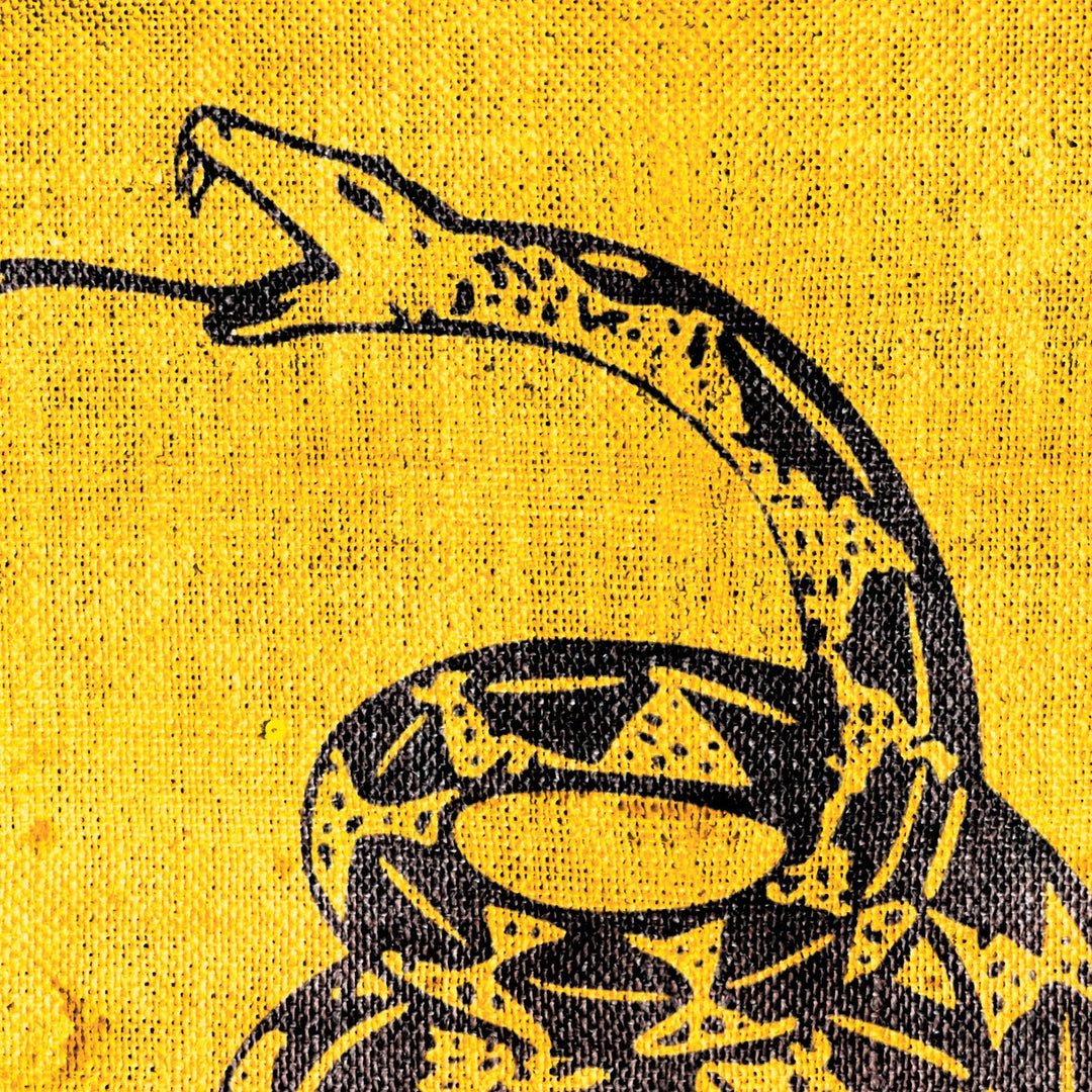 The Dont Tread On Me Retro Poster - 36" x 24" (2)