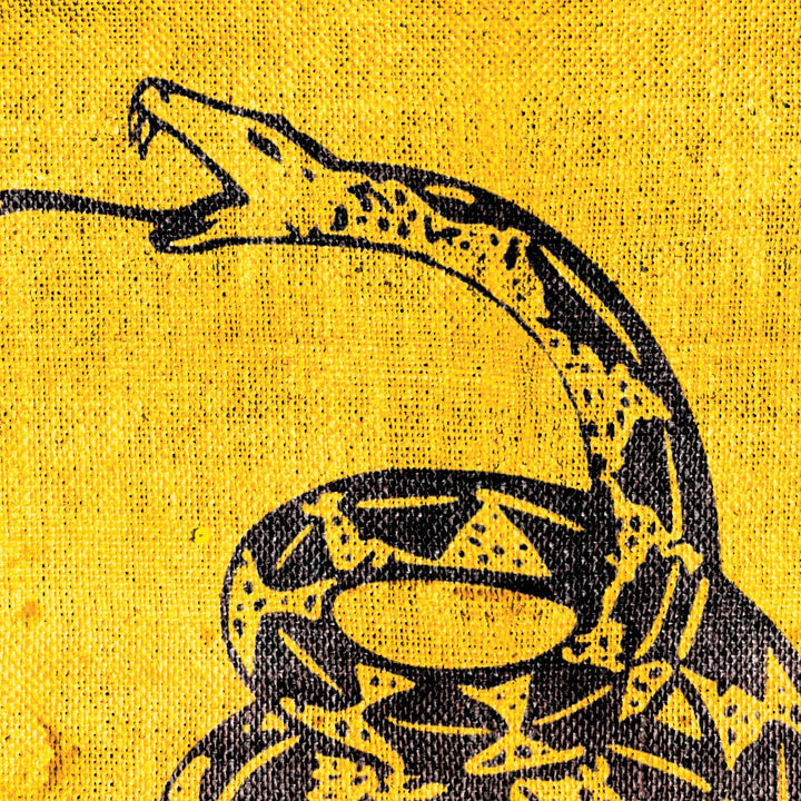 The Dont Tread On Me Retro Poster - 36" x 24" (2)