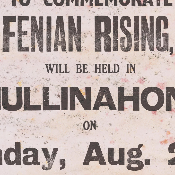 The Fenian Rising of 1867 Retro Poster - 24" x 36"