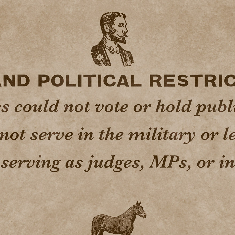 The Penal Laws Of Ireland Retro Poster - 24" x 36"