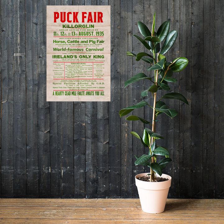 The Killorglin Puck Fair Retro Poster - 24" x 36"